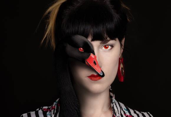 Black swan, photo Sanja Tošič
