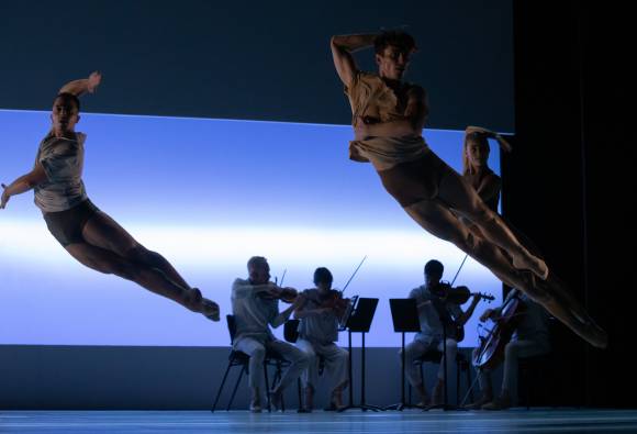 Impermanence (photo: Pedro Greig)