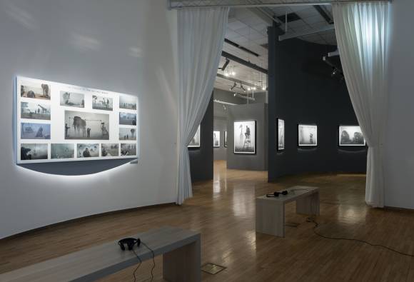 Placement of the exhibition in CD, photo Lucija Rosc